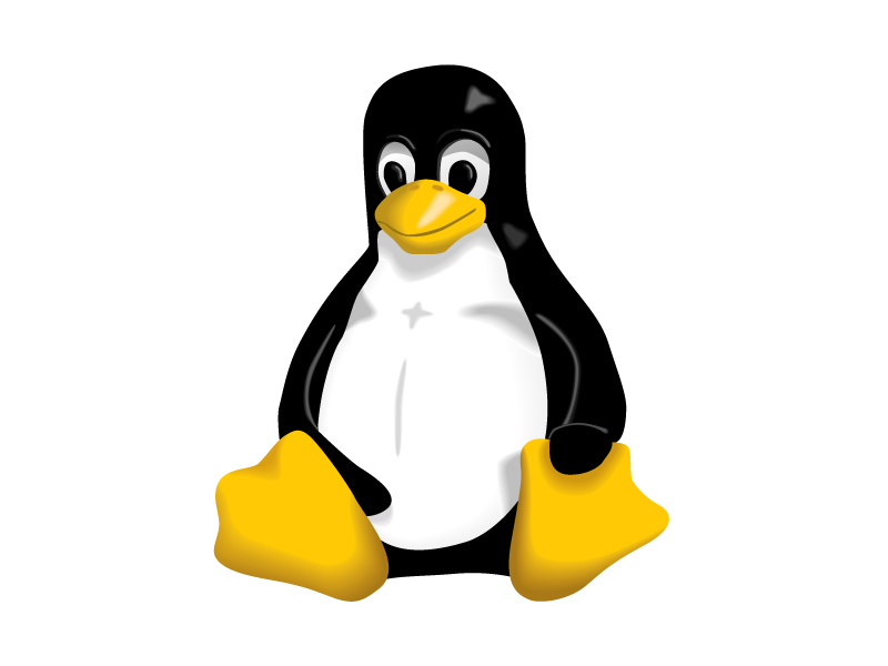 Linux Bulut Sunucu